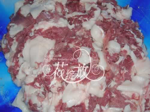 �����㳦������