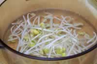 ��ƷëѪ�������������ˣ�