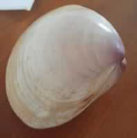 ܽ������������������ͳ���ˣ�