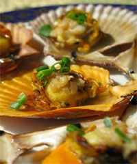 �������ȱ�������