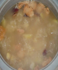 ������ѩ��������