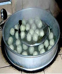 �͹������ε�����