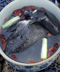 �ڼ���������