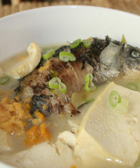 ����������������