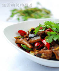 ����Ƭ������