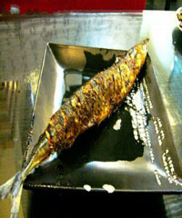 ���ﵶ�������