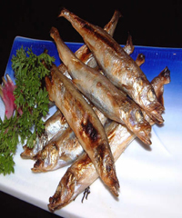 �ο��ﵶ�������