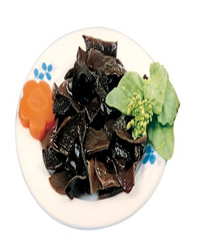 ����ľ��������