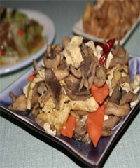 �س�Ģ��������