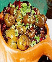 �����ݵ�����