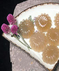 ��ɫ��ʳ������