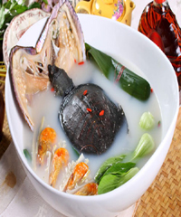 ��轼��������