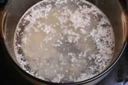 ����ţ�������������ˣ�