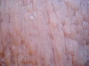 �����������������ˣ�