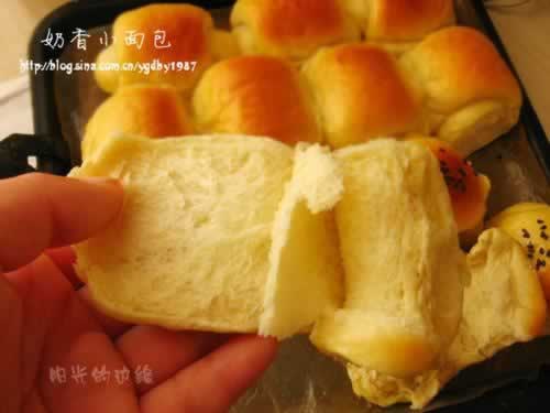 ����С�������������Ͳ��ף�