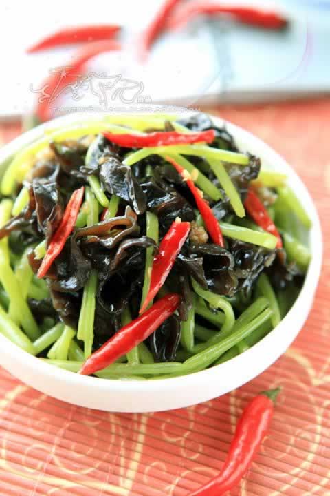 «�ݰ�ľ�������������ˣ�