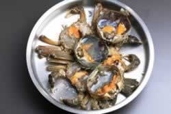 ���͟h�з�����������ʼҳ��ˣ�