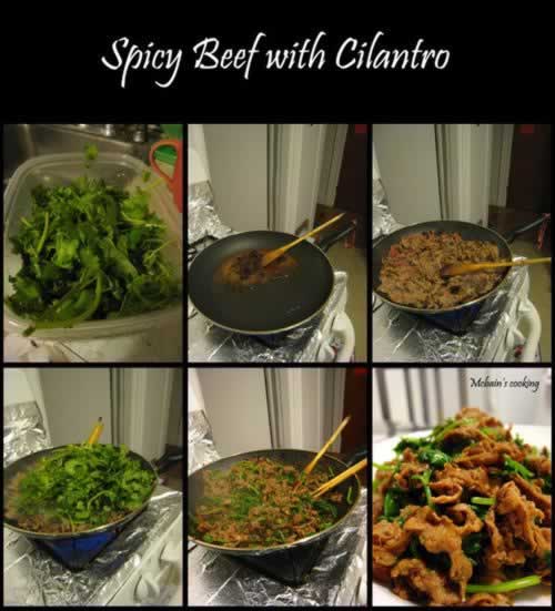 ������ţ�����������-�ʺ��ϰ���Ŀ쳴�·��ˣ�