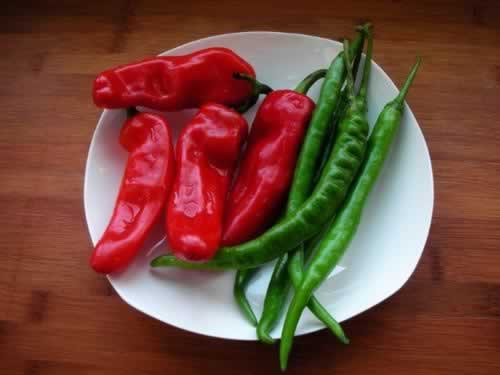 �������ӵ���������ˣ�