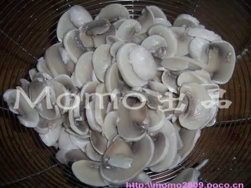 ��ֽĢ��������������ˣ�