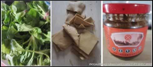 ţ�⽴�貤�˵����������ˣ�