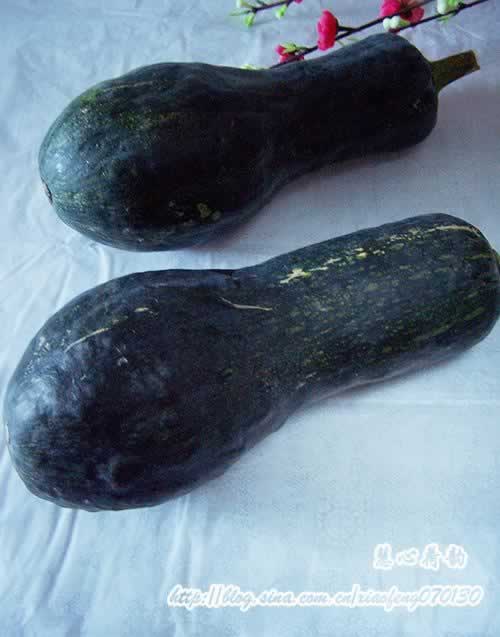 金钱香蒜虾皮蒸南瓜的做法(清蒸菜)