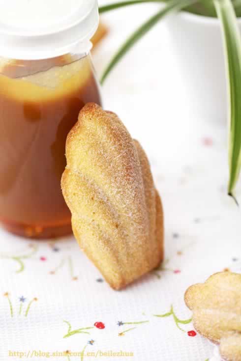 �������ͱ��ǵ������������Ͳ��ף�