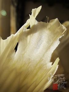 ���㶹�����ײ˵����������ʼҳ��ˣ�