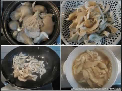 ţ���˿�������������ش���-����һ��������ͷ�˼��˰��ġ�ţ�ʡ���