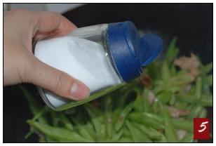 �����������������ʡʱ�ֺóԣ�