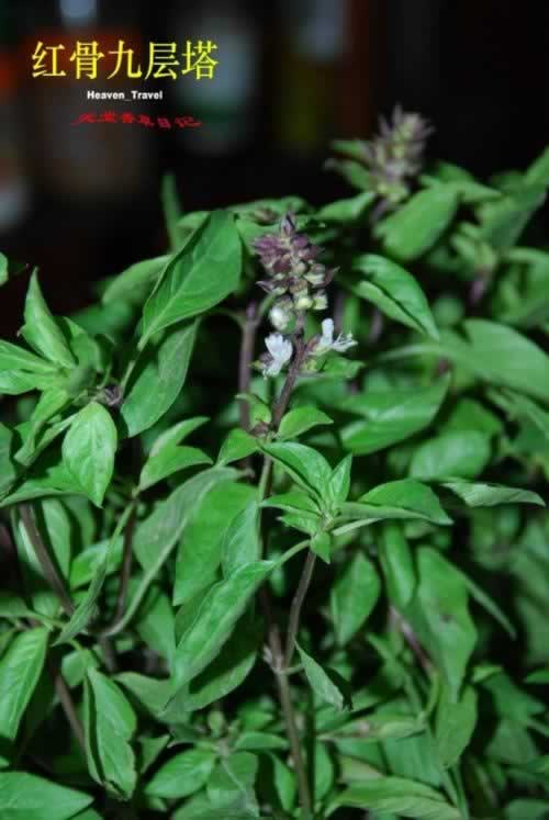 ̨������������������ˣ�