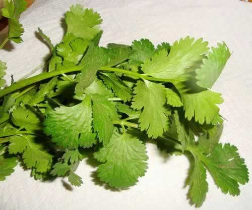 ±ը�������������ز�-����С��������ͨ����ζ��