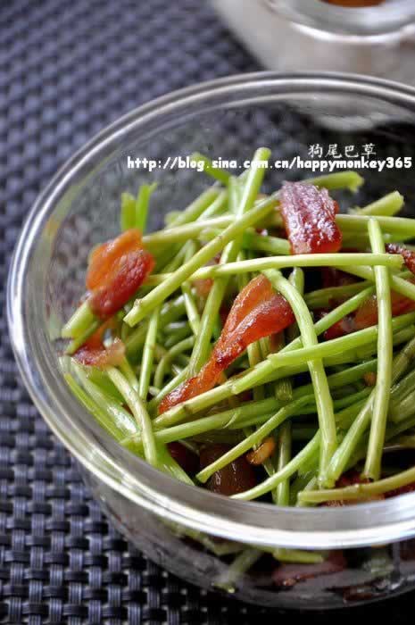 腊肉炒藜蒿的做法(荤素搭配)