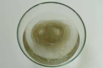 ˮ����Ƭ�����������-���Ǽ��ľ��䴨�ˣ�