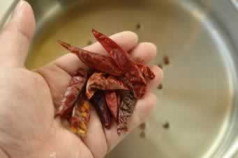 ˮ����Ƭ�����������-���Ǽ��ľ��䴨�ˣ�