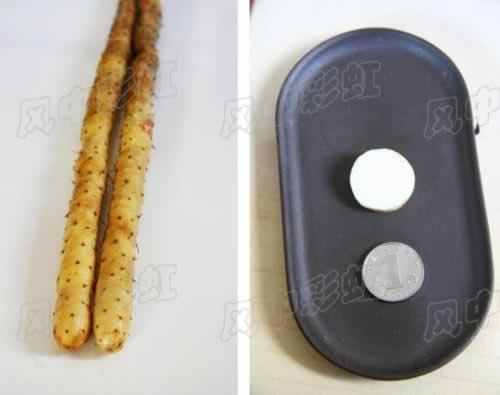 ľ����ɽҩ���������ز�-ҩʳͬԴ��ɽҩ��