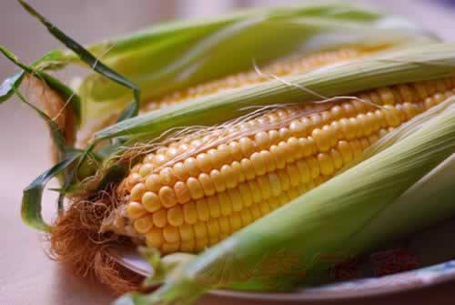 ����Ͳ������������������ˣ�