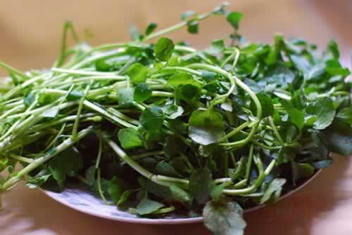 西洋菜鲜陈肾汤的做法(家庭食疗)