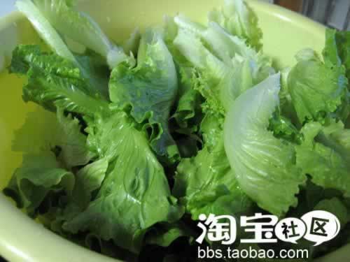 ��ʽ�������������ˣ�