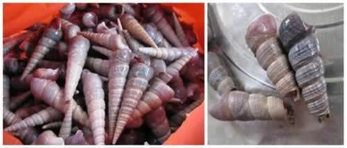 �������ݵ����������ʼҳ��ˣ�