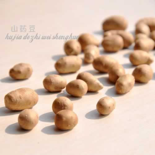 �Ǵ�ɽҩƬ��ɽҩ�������������ز�-���ںɶ��ɵ����ʳ�ģ�