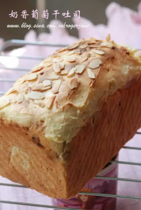 �������Ѹ���˾����������Ͳ��ף�