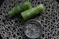 ֥�齴֭ݫ��˿�����������ˣ�