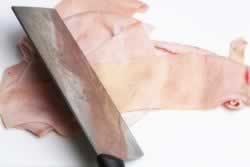 ��Ƥ��������������-4�����������ڼ������ٷְٳɹ��İ��ջ���ʥƷ��