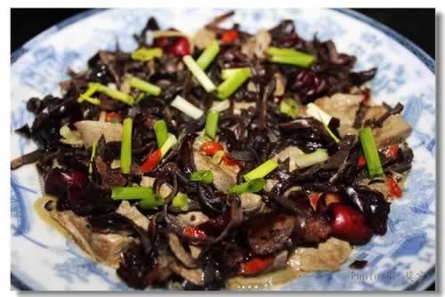 ��ľ�������ε����������ش���-��Ѫƫ��Ӫ���ͣ�