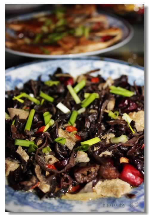 ��ľ�������ε����������ش���-��Ѫƫ��Ӫ���ͣ�