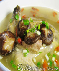 �ܲ�������������