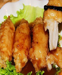 ɽҩ֥�����ŵ�����