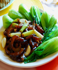 �б�����Ƭ������