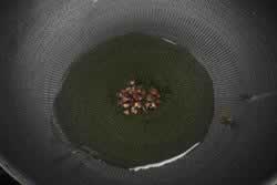 �⽷����˿���������ز�-6��С���������������ܻ�ӭ���زˣ�